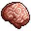 Un cerveau