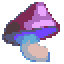 Champignon suspect