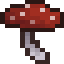 Champignon comestible
