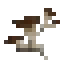 Champignons des cavernes