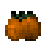 Citrouille juteuse