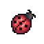 Coccinelle