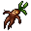 Mandragore desséchée